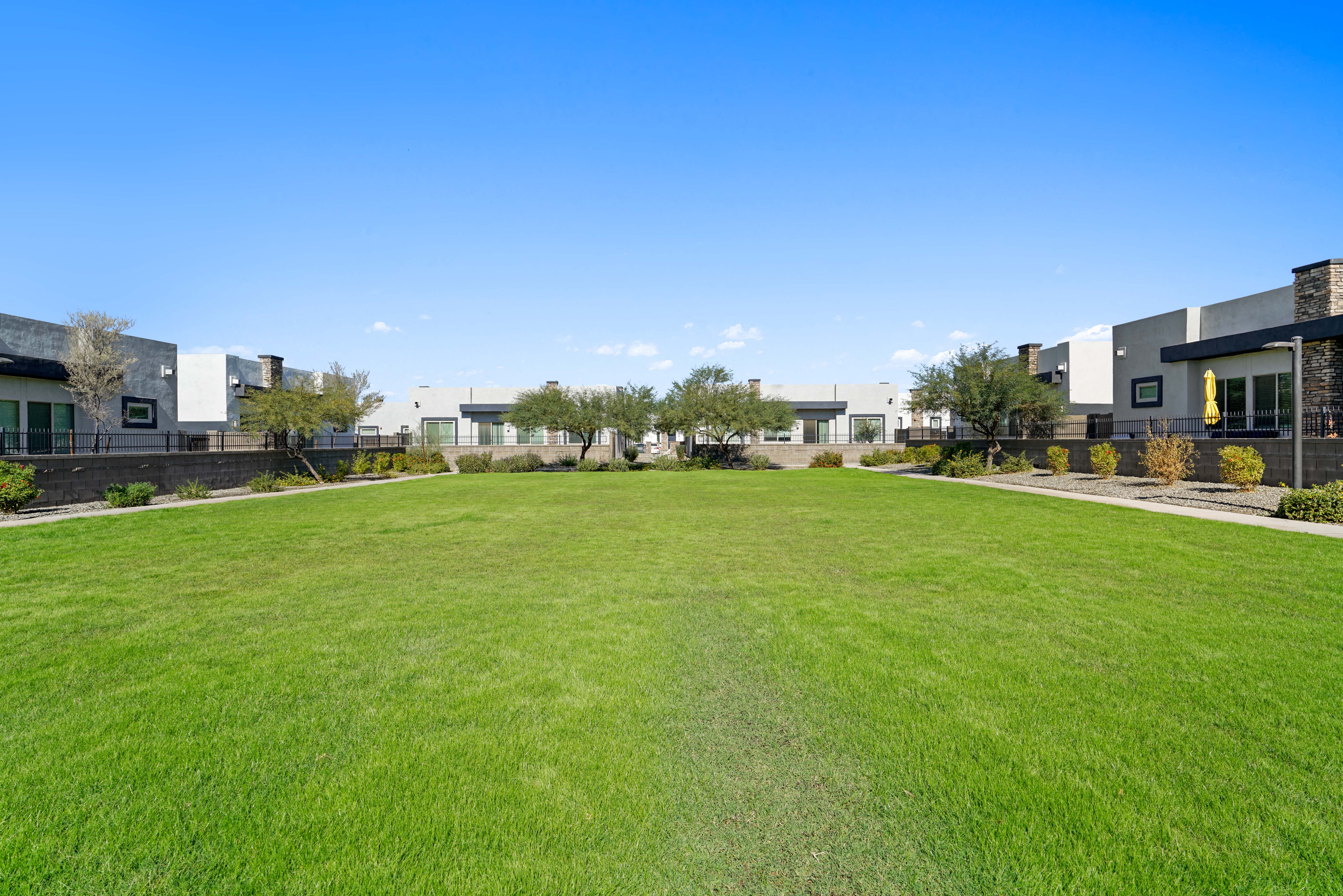 a large green lawn in front of some apartments at Olive Queen Creek Apartments, Queen Creek